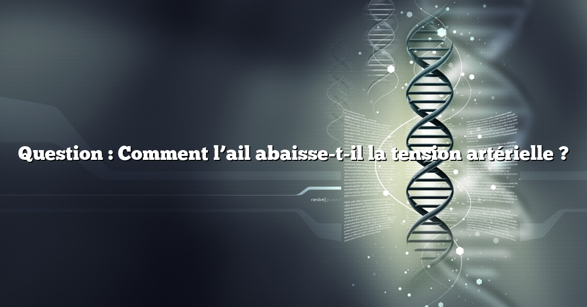 Question : Comment l’ail abaisse-t-il la tension artérielle ?